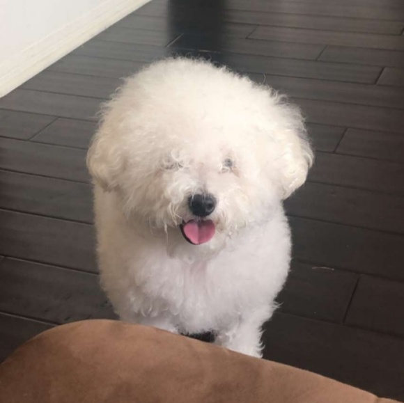 Meet your Posher, Hannah - Picture 1 of 1